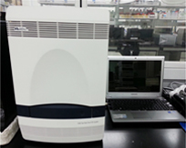 7500 Fast Real-Time PCR