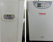 항온 incubator(SANYO, Thermo Scientific)